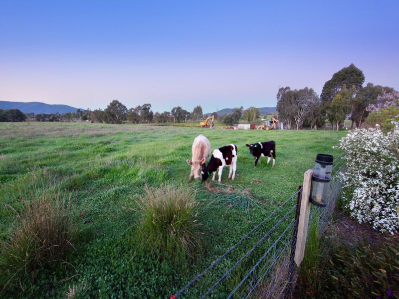 18 Grays Lane Yackandandah VIC, Yackandandah - Thumbnail 5