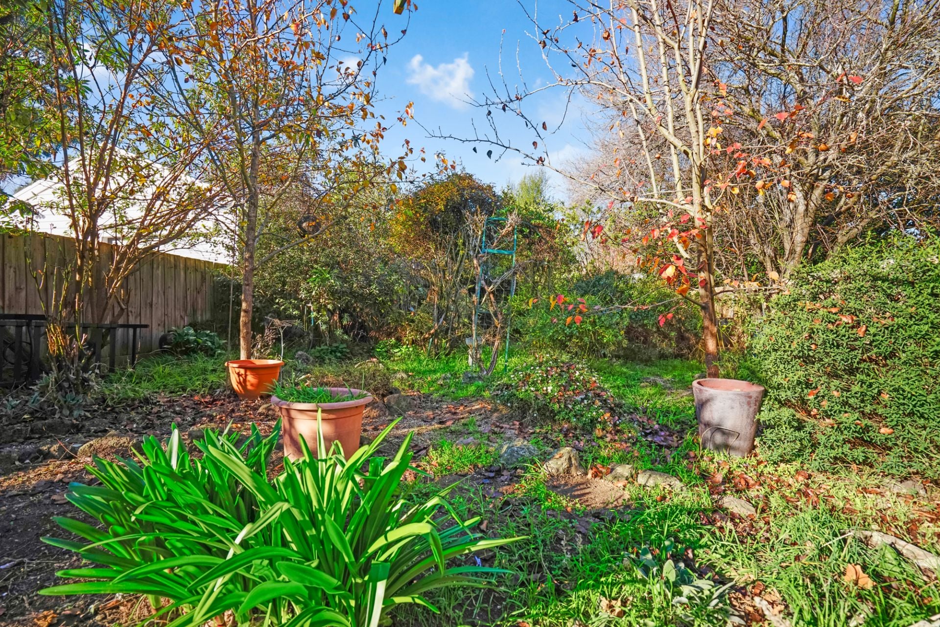 415A Errard Street South, Ballarat Central, Ballarat Central - Thumbnail 2