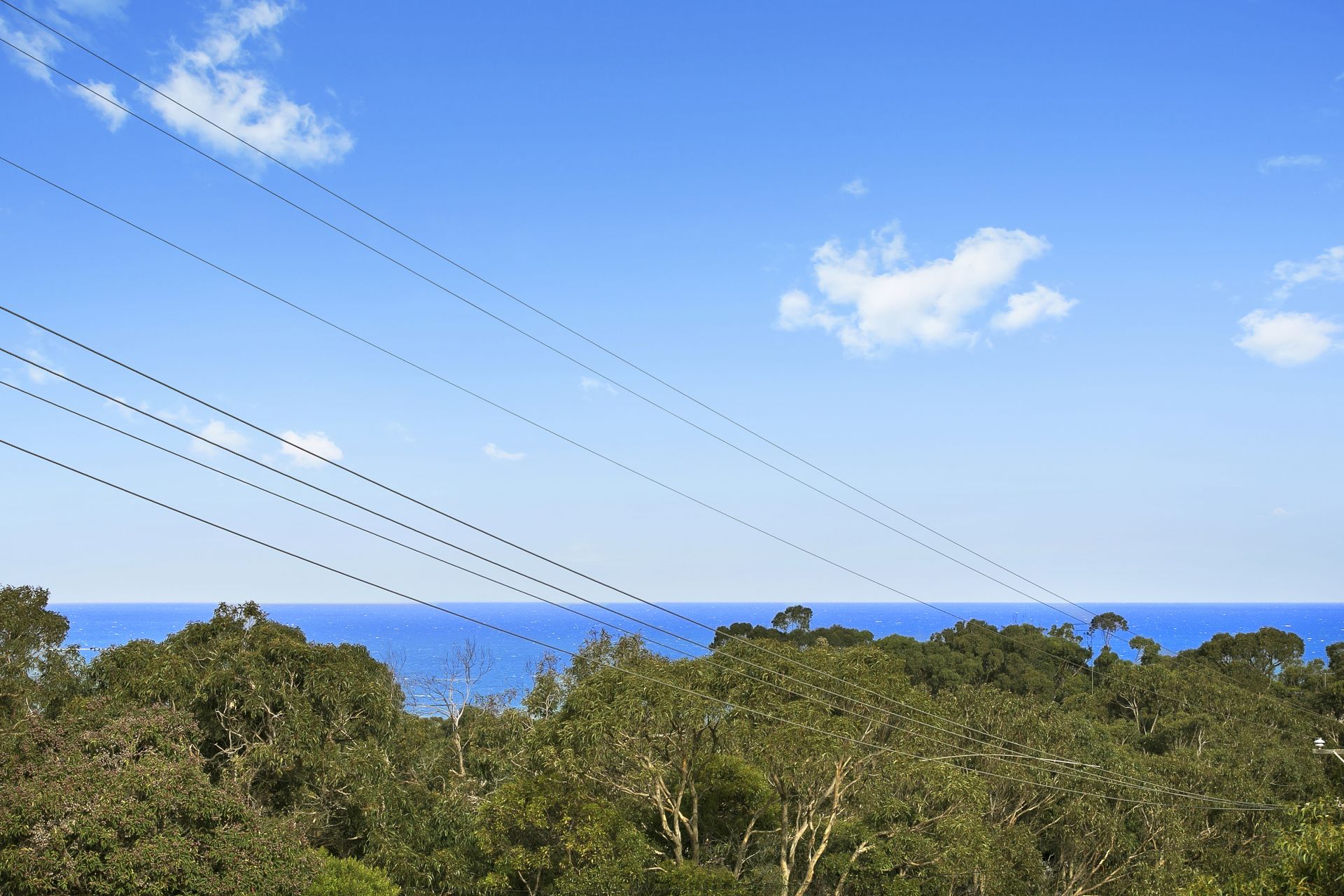 8 ODonohue Road, Anglesea - Thumbnail 3