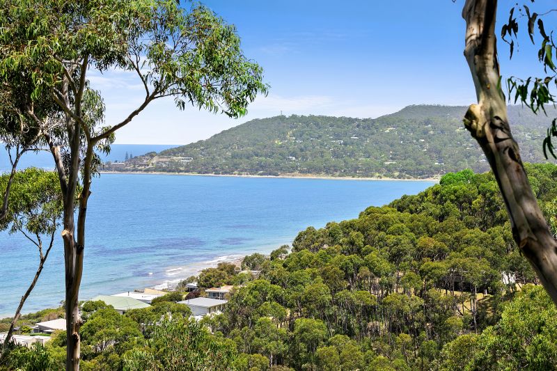 22 Summerhills Avenue, Lorne, VIC, Lorne - Thumbnail 4