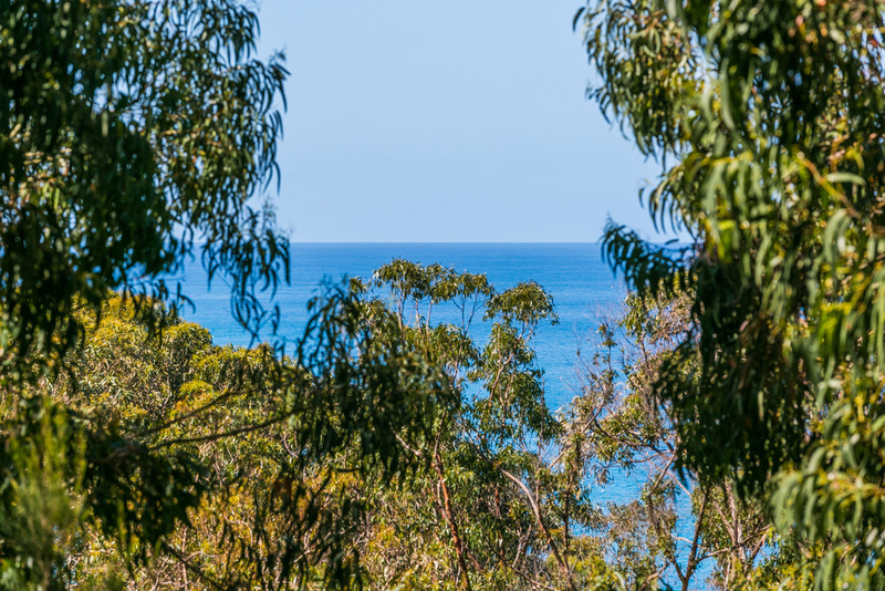 11 Cassidy Drive, Kennett River, VIC, Kennett River - Thumbnail 7