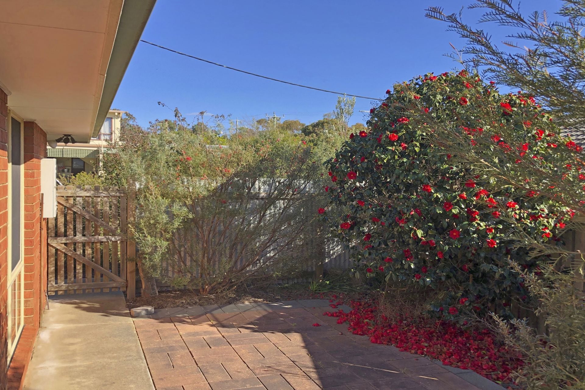 52 Jackson Street, Anglesea - Thumbnail 3