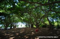 15 Cicada Close Buderim QLD, Buderim - Thumbnail 7