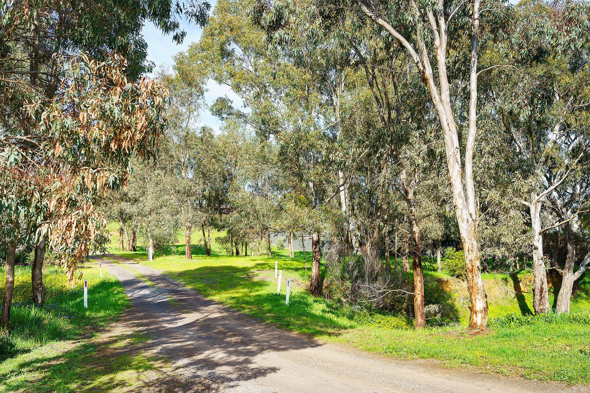 36 Moscript Street, Campbells Creek - Thumbnail 5