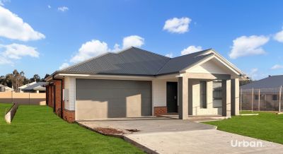 North Rothbury 24 Maher Street