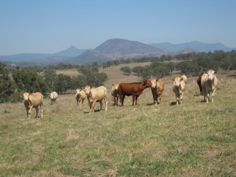 Real Estate For Sale Maroon , QLD