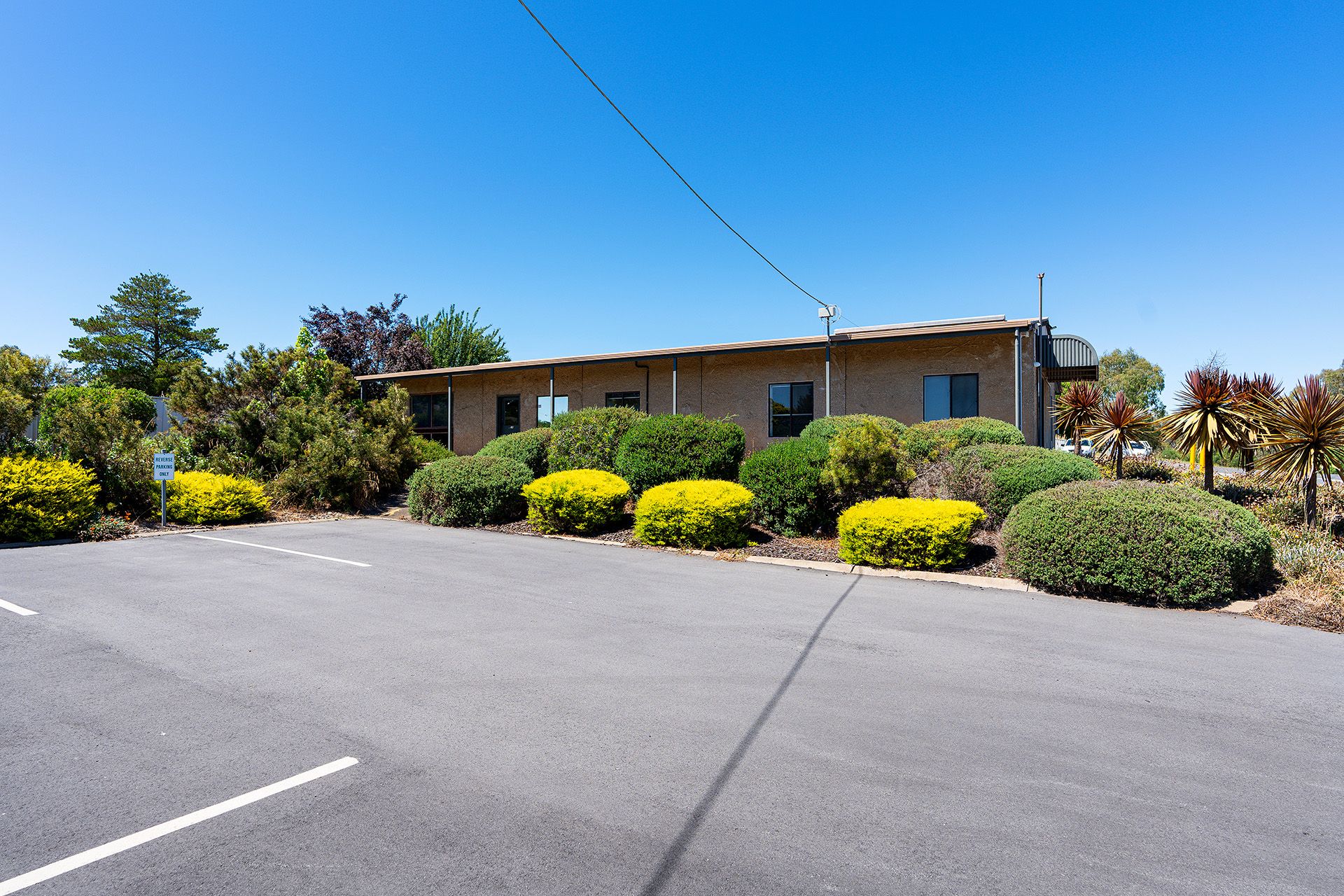 5 Lewis Drive, Castlemaine - Thumbnail 6