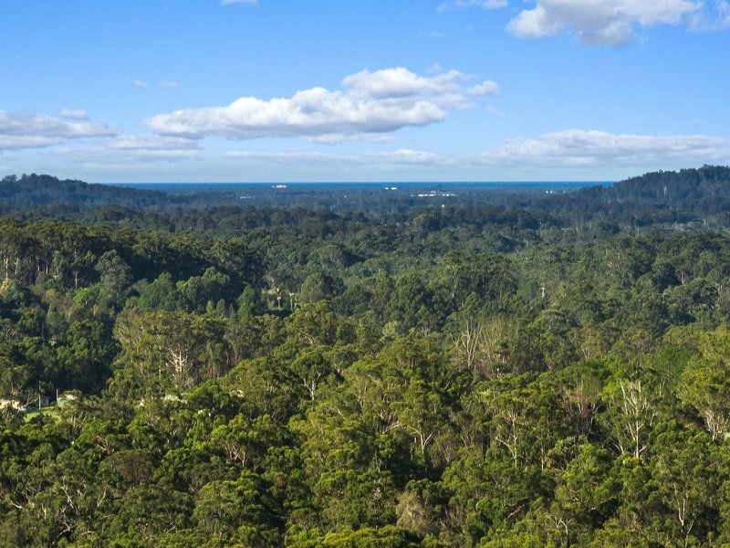 7 Wilkins Lane Palmwoods QLD, Palmwoods - Thumbnail 4