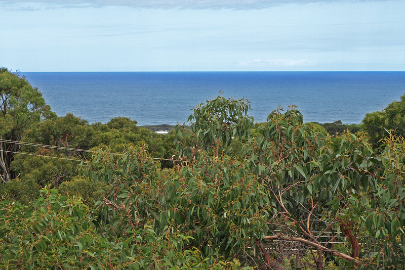 39 and 41  Second Avenue , Anglesea, VIC, Anglesea - Thumbnail 6
