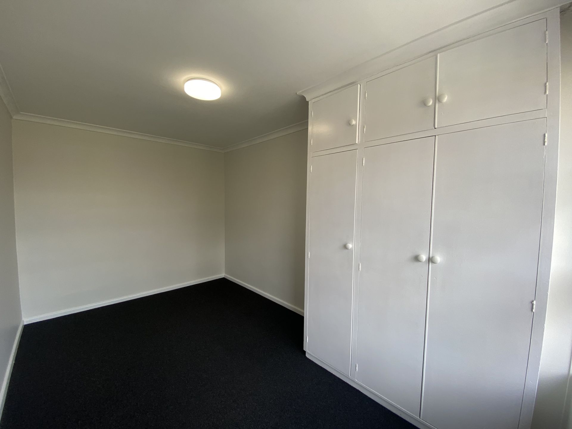 Renovated Delight!