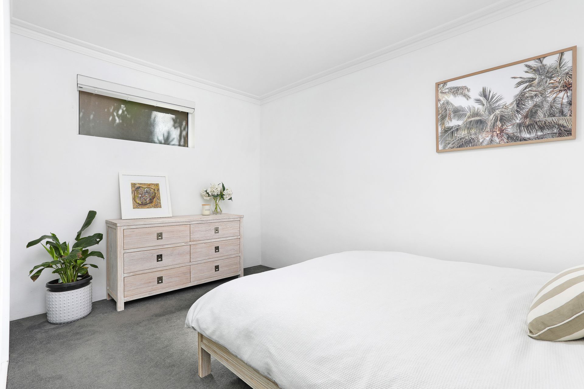 real-estate-for-sale-13-314-clovelly-road-clovelly-nsw