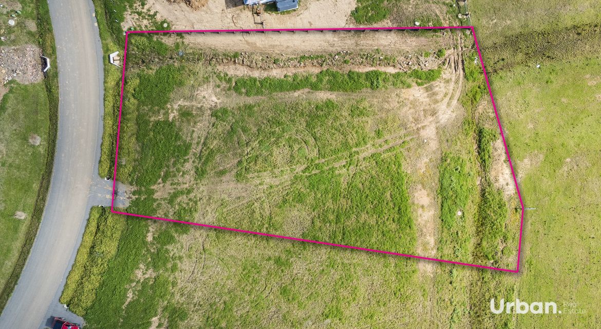 Branxton 14 Pistacia Grove