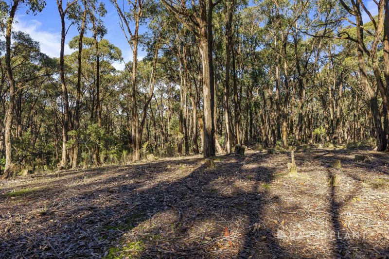 217 Lockyers Road, Garibaldi - Thumbnail 8