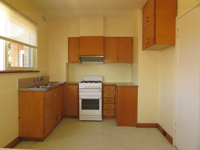 **Spacious and Sunny**
