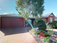 Australind