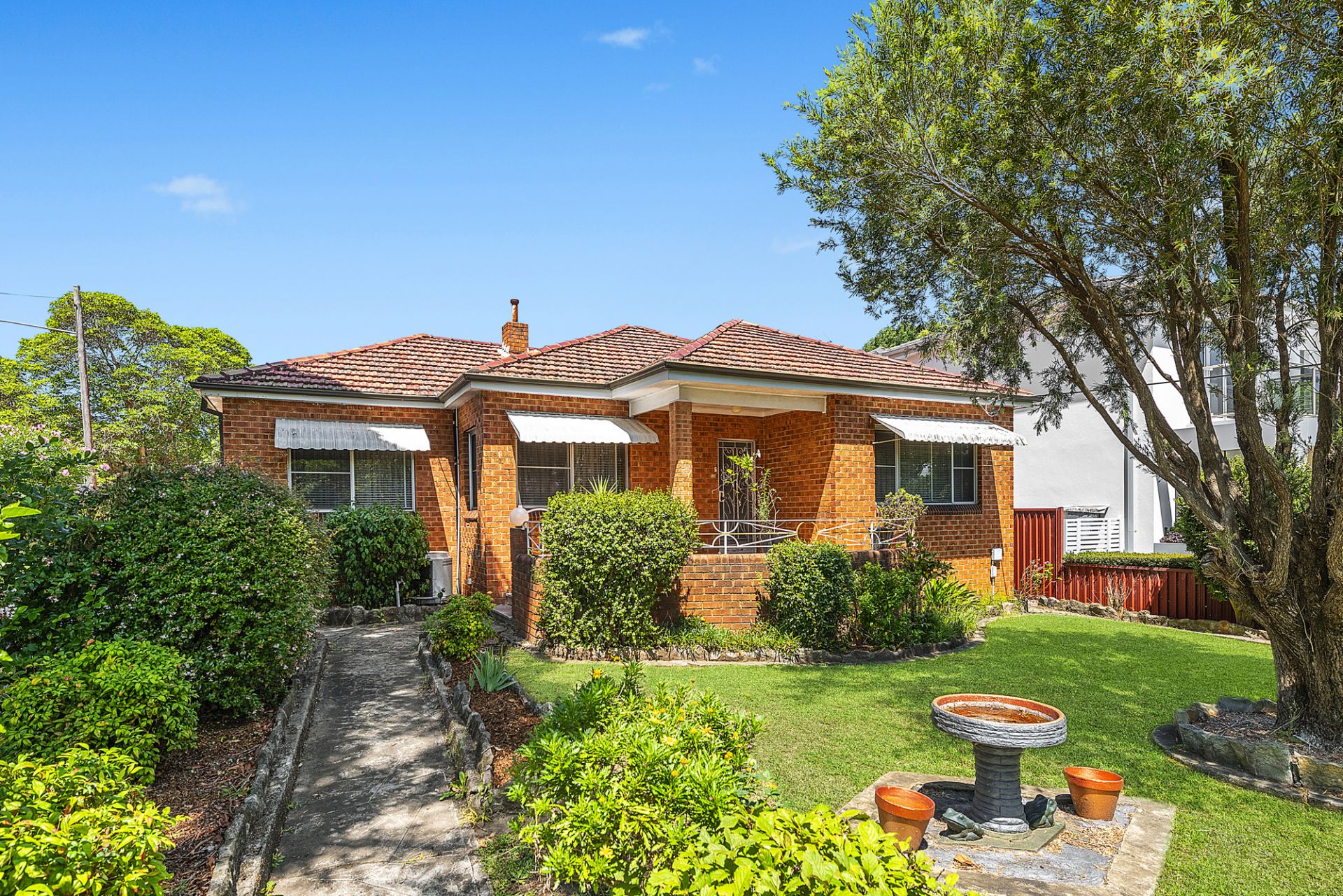 36 Bareena Street, Strathfield, Strathfield - Thumbnail 6