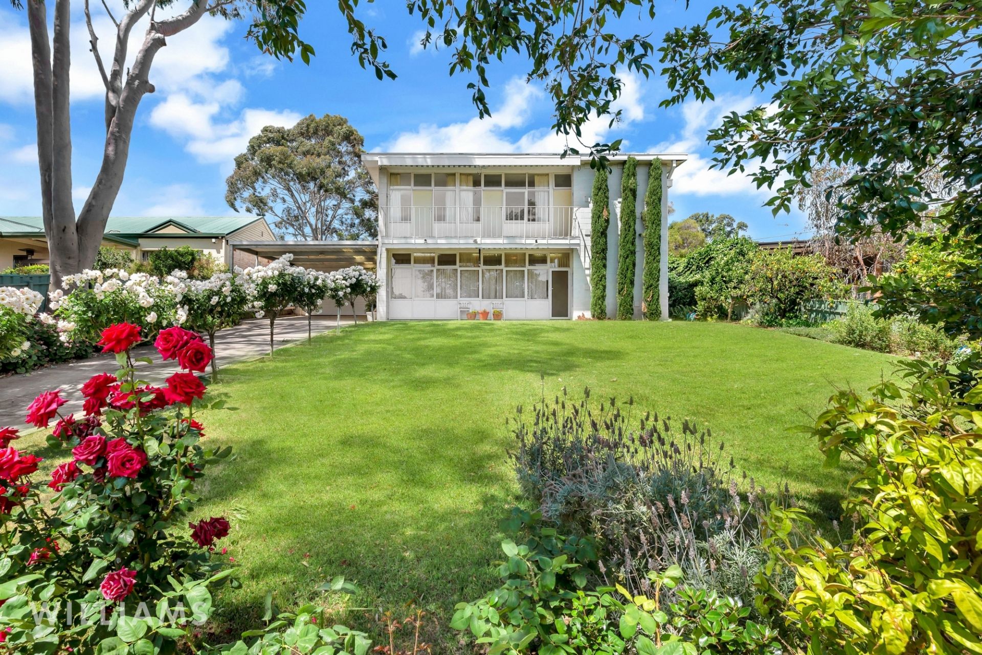 16 Street, Torrens Park Williams Real Estate