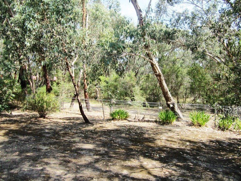 4 Chatswood Drive, Anglesea, VIC, Anglesea - Thumbnail 3