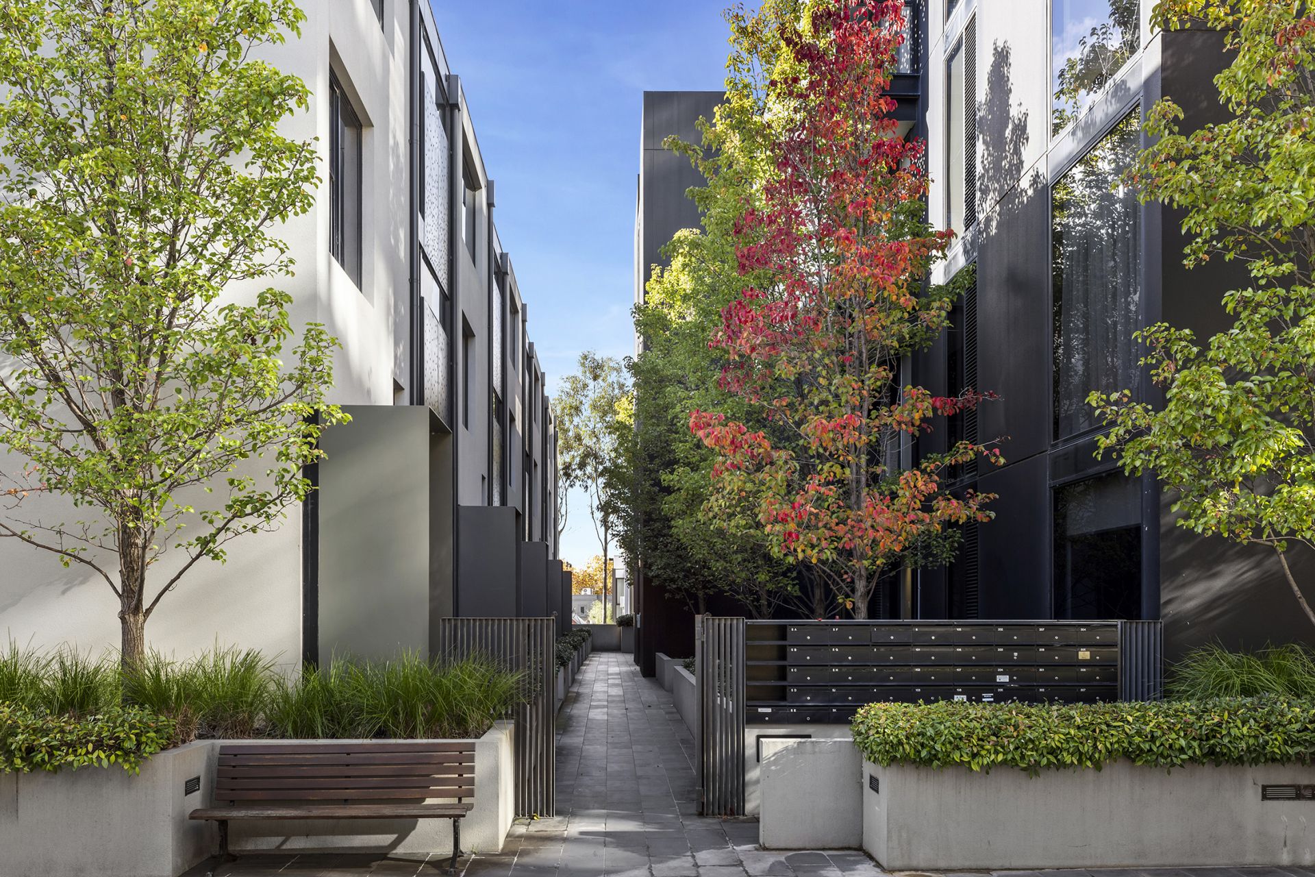 3/3 Clara Street, South Yarra - Thumbnail 8