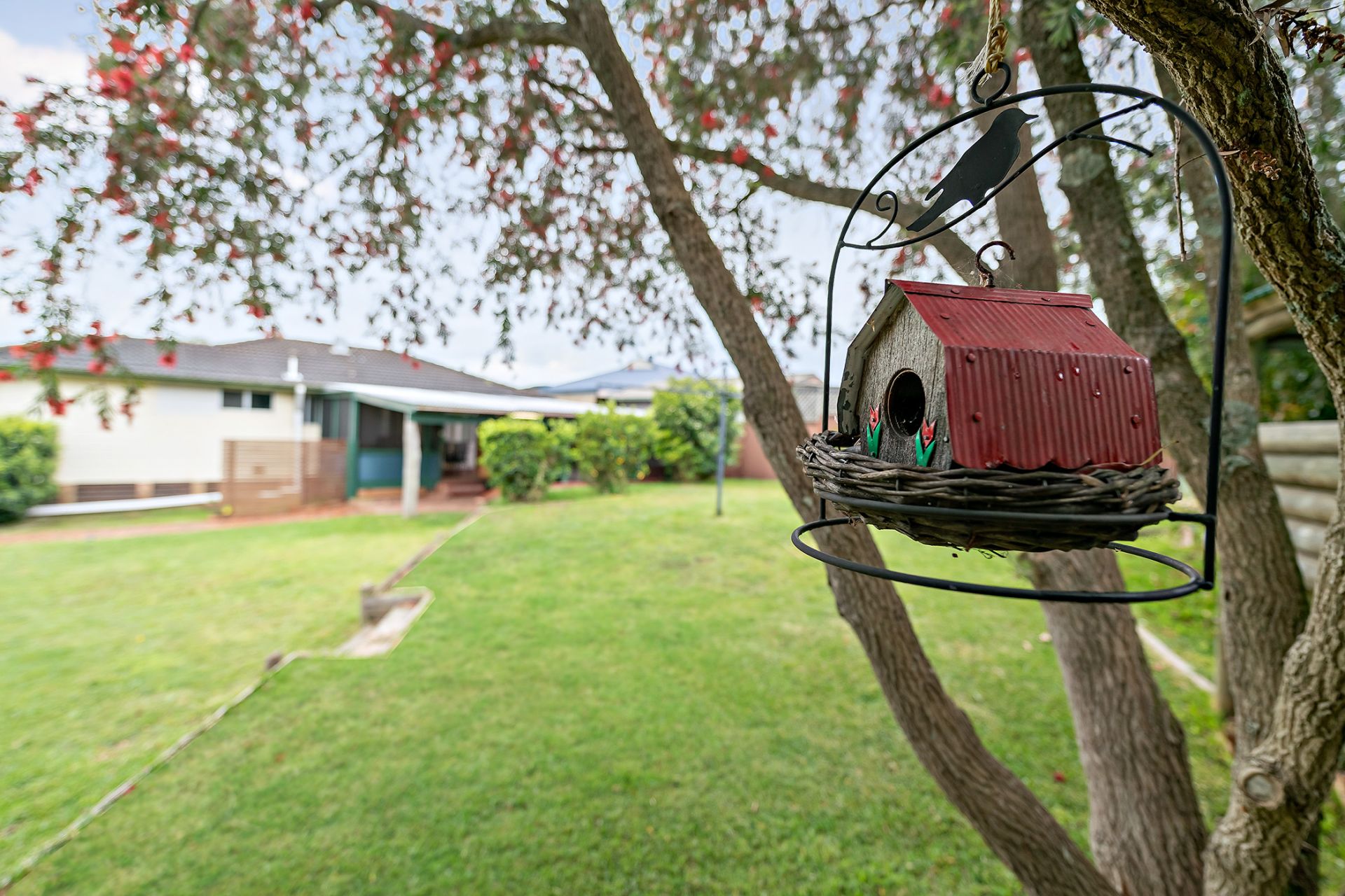 Real Estate For Sale 9 Coomalong Close Holmesville , NSW