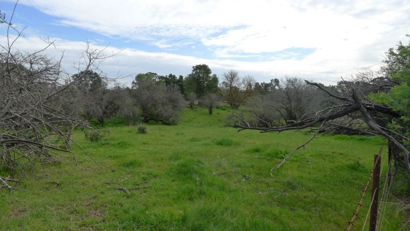 Moss Road Barnawartha North VIC, Barnawartha North - Thumbnail 6