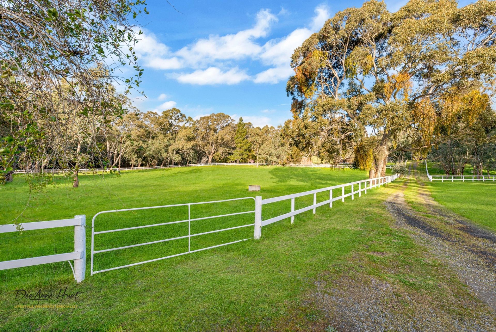 934 Strathalbyn Road, Biggs Flat Williams Real Estate