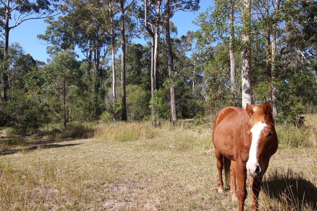 114 Crowther Drive, KUNDABUNG NSW 2441