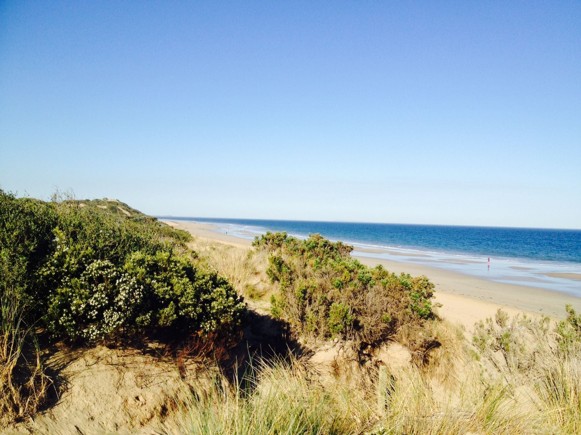 177 The Esplanade, Torquay - Thumbnail 8