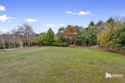 10 Sunhaven Drive, Port Sorell, Port Sorell - Thumbnail 3