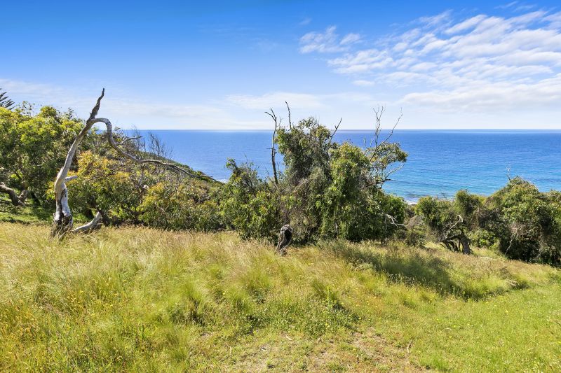 61 Morley Avenue, Wye River, VIC, Wye River - Thumbnail 2