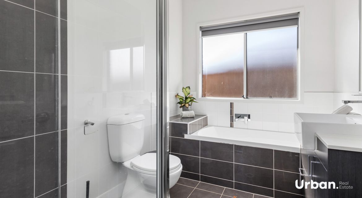 Colebee 11 Coronato Parade