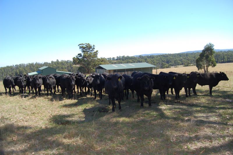 Real Estate For Sale 160 Coombs Road Kinglake West , VIC