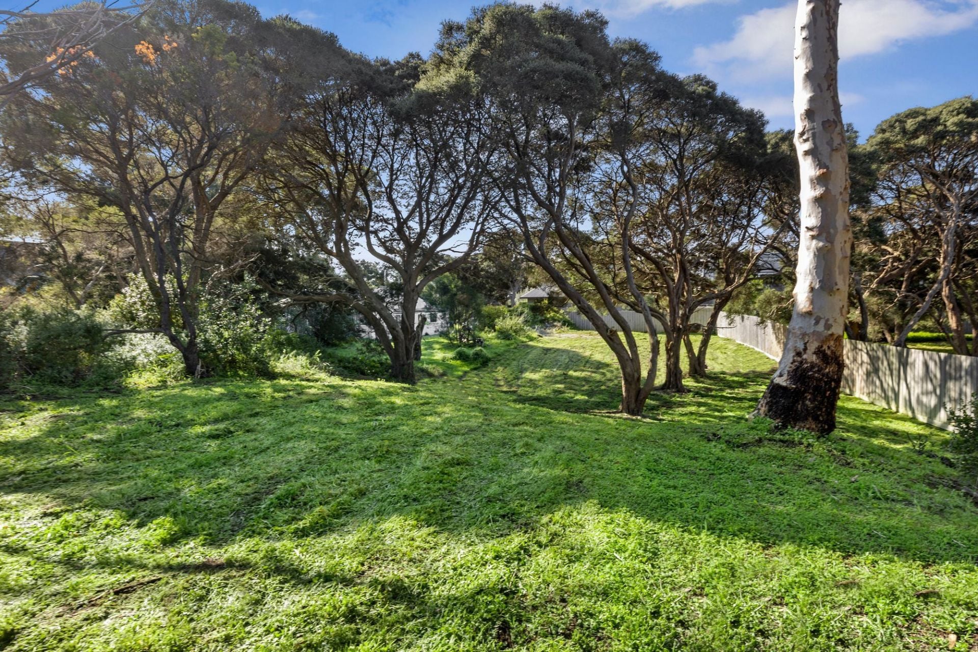 4 Barwon Terrace Barwon Heads VIC, Barwon Heads - Thumbnail 6
