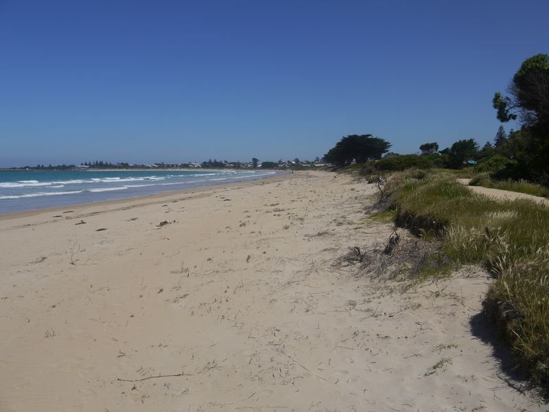 Scenic Drive, Apollo Bay, VIC, Apollo Bay - Thumbnail 7
