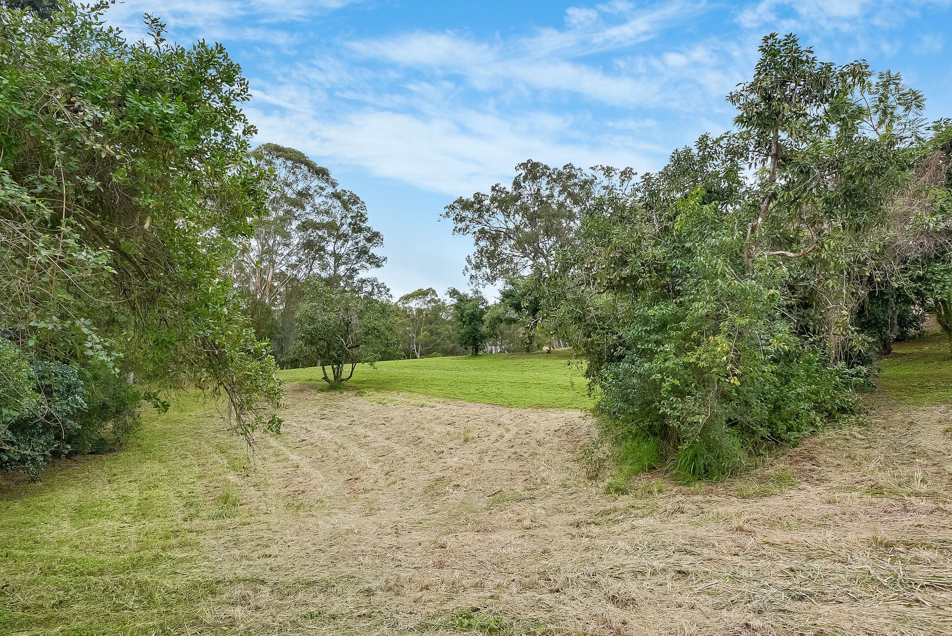 418 Upper Landershute Road Palmwoods QLD, Palmwoods - Thumbnail 5