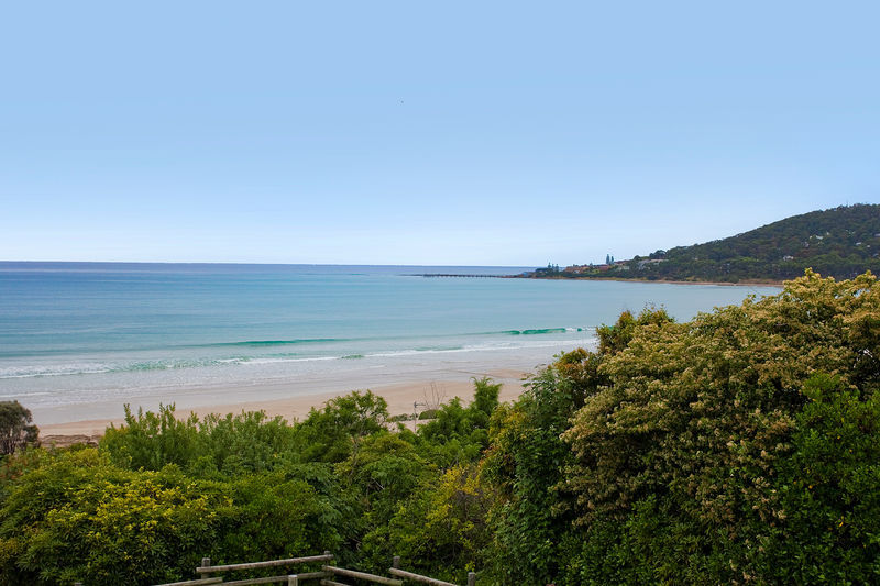 22 Deans Marsh Road, Lorne, VIC, Lorne - Thumbnail 3