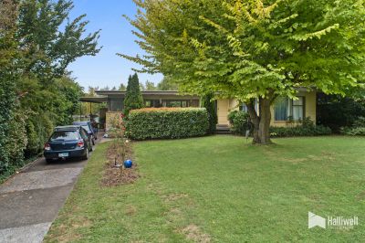2
 
 
 
  
 
 
 1
 
 
 
  
 
 
 2
 
 
 
 
 
 
 
 22 Forth Street, Latrobe TAS 7307, Latrobe - Thumbnail 2