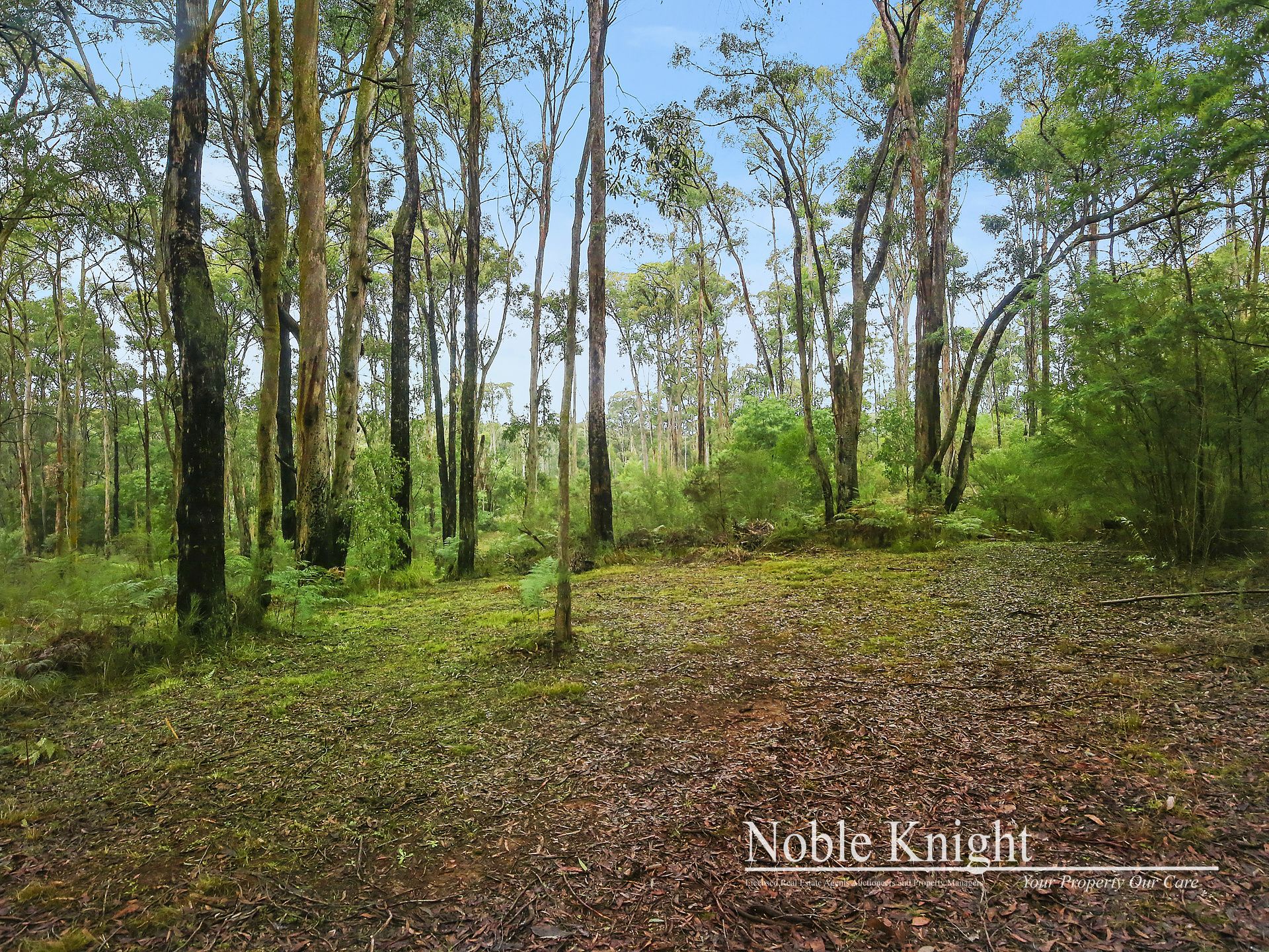 2/53 Banksia Court Castella