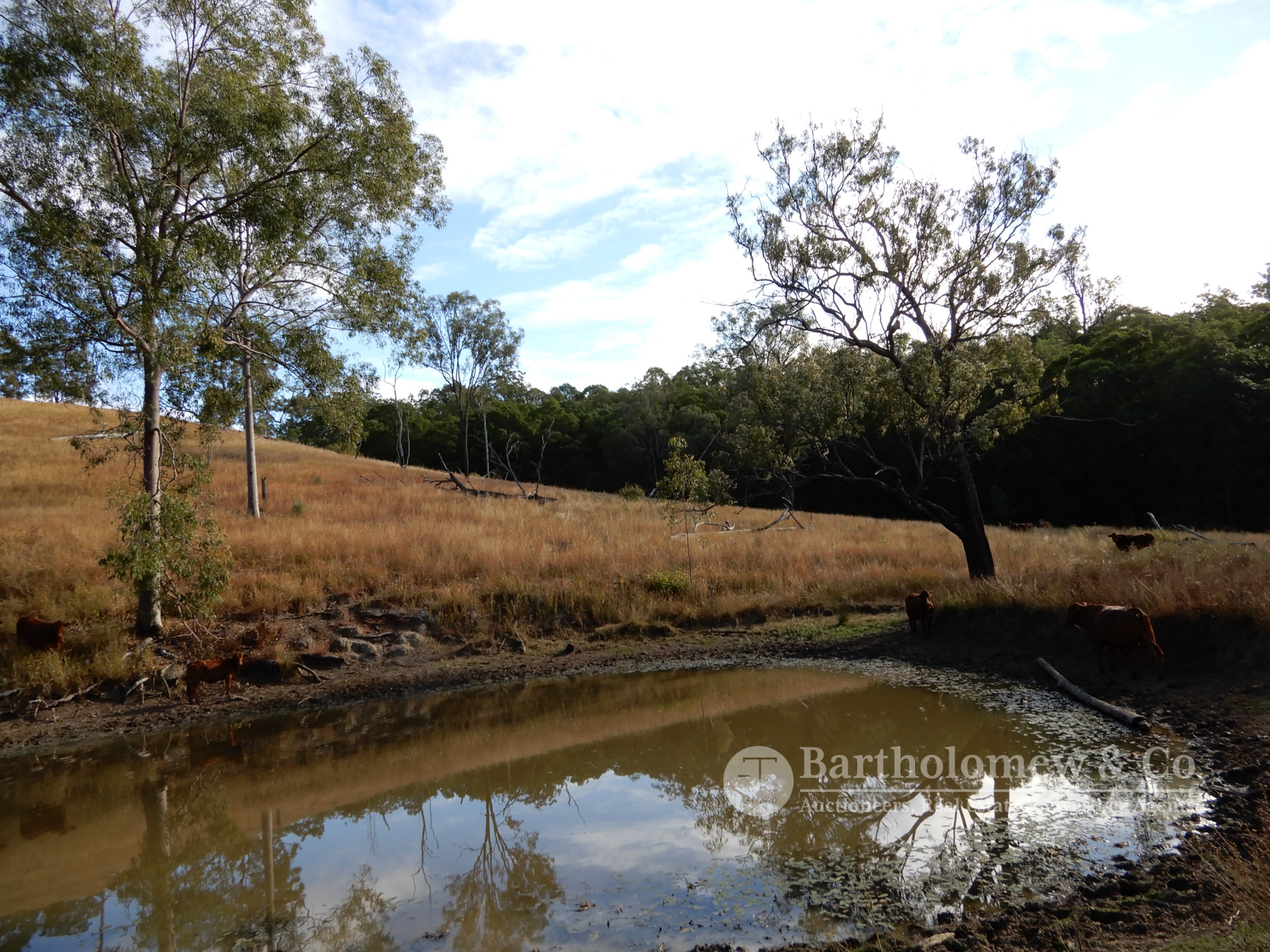 Real Estate For Sale Lot 2 Off Carneys Creek Road Carneys Creek , QLD