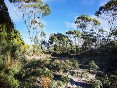 155 Marana Drive, BAKERS BEACH, Bakers Beach - Thumbnail 6