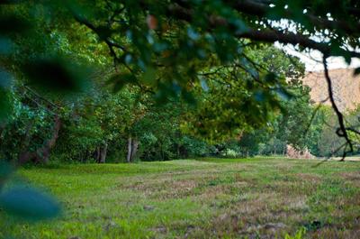Usable 4.4 horse acres with 200m of creek frontage