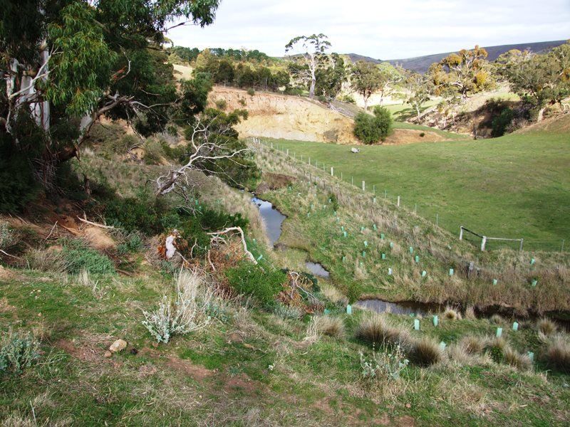 529 Swans Road, Bacchus Marsh - Thumbnail 2