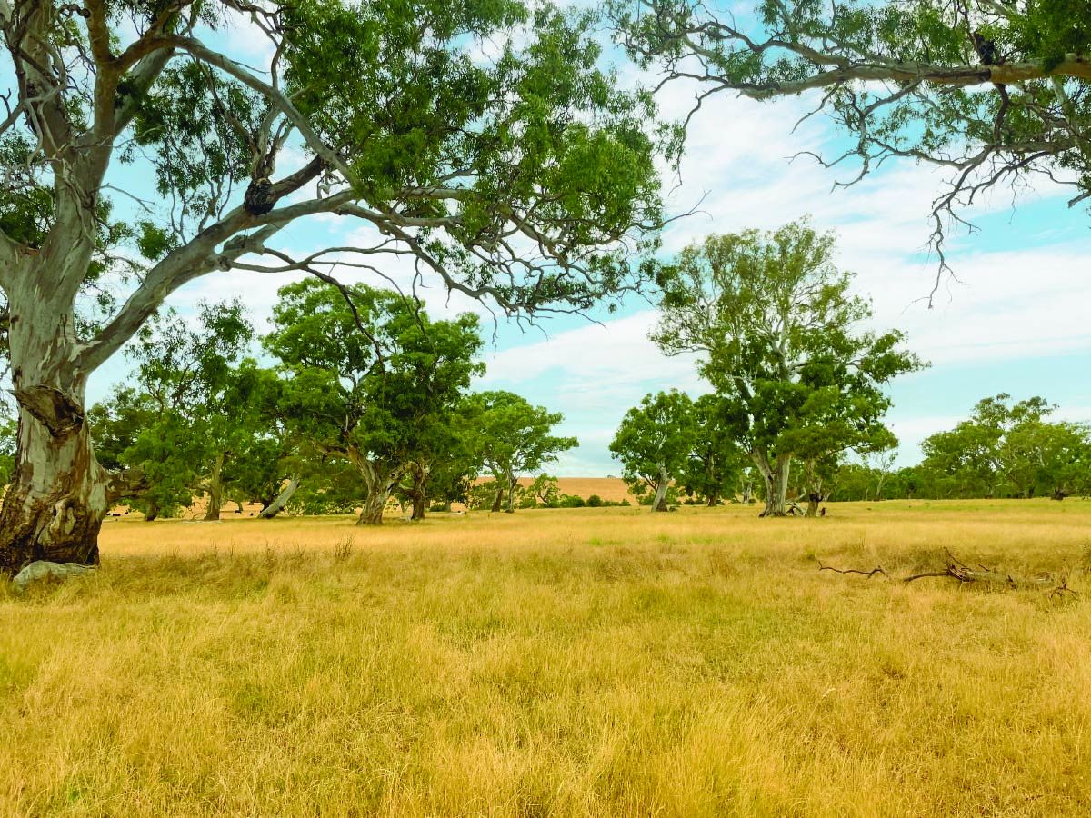 121Ha* Picturesque Farm - minutes from Mernda