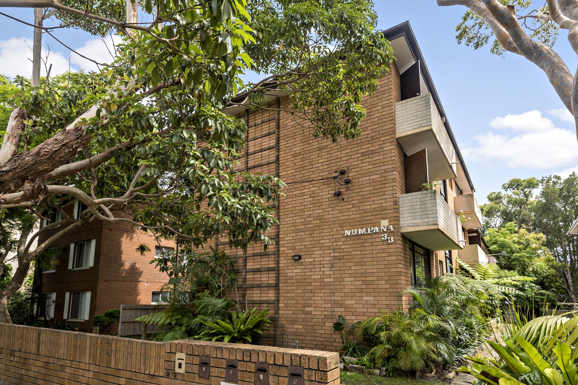 Real Estate For Sale 3/33 Lismore Avenue Dee Why , NSW