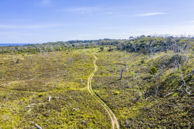 1010 Lighthouse Road, Cape Otway, VIC, Cape Otway - Thumbnail 3