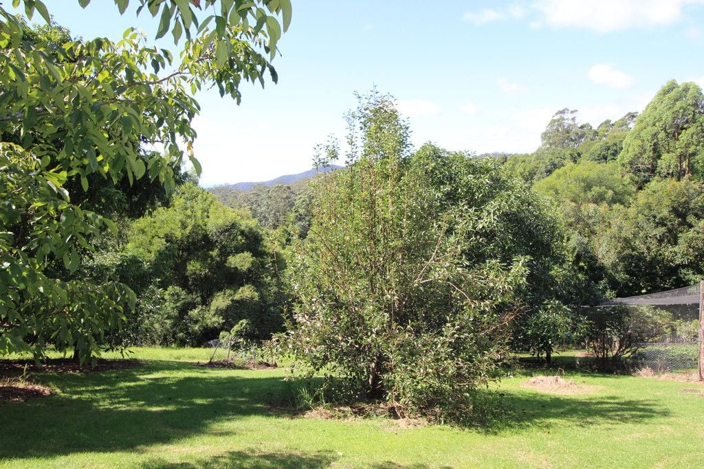 389 Playfords Road, COMBOYNE NSW 2429