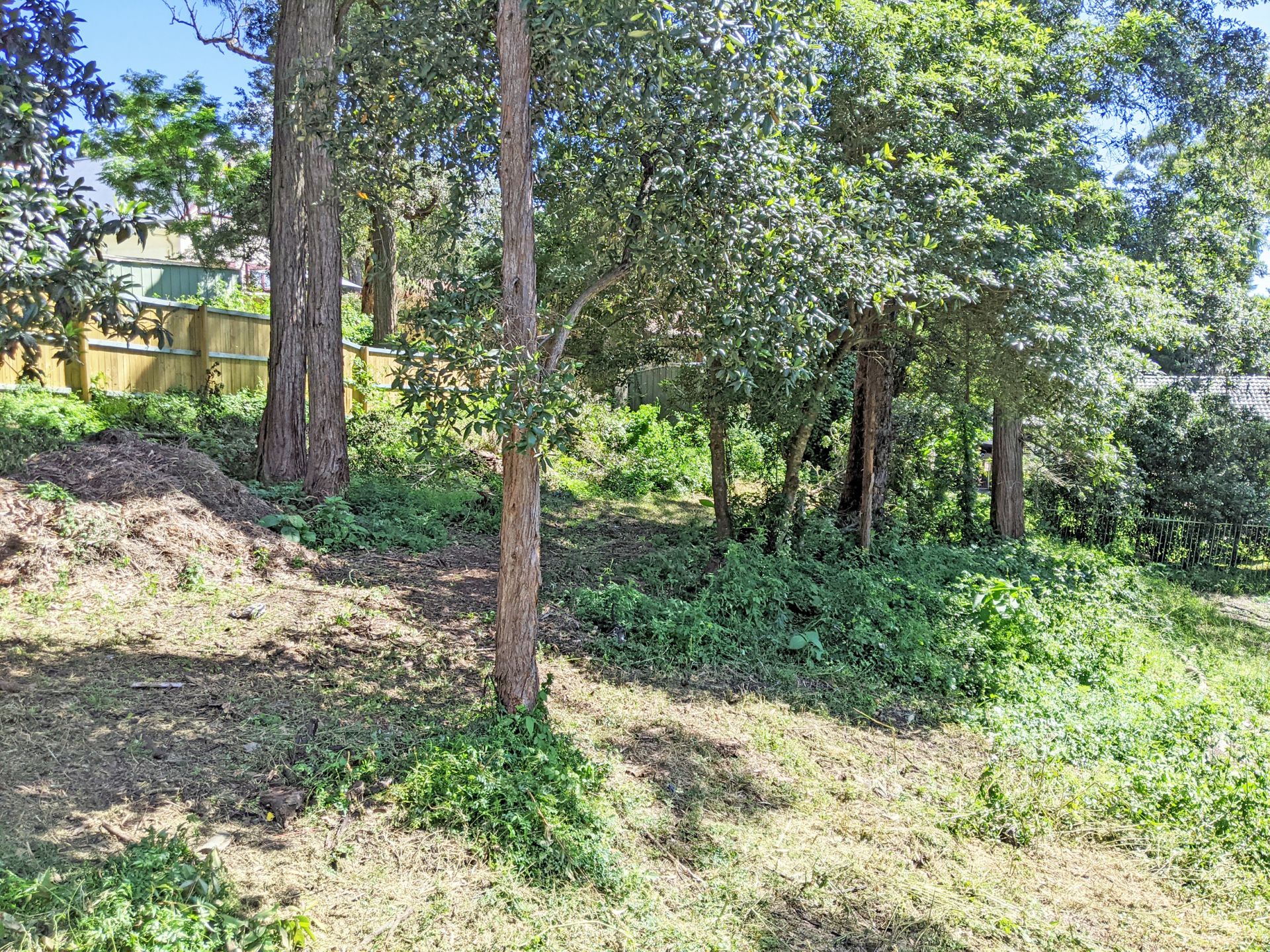 5 Waratah Street, Bowen Mountain - Thumbnail 5