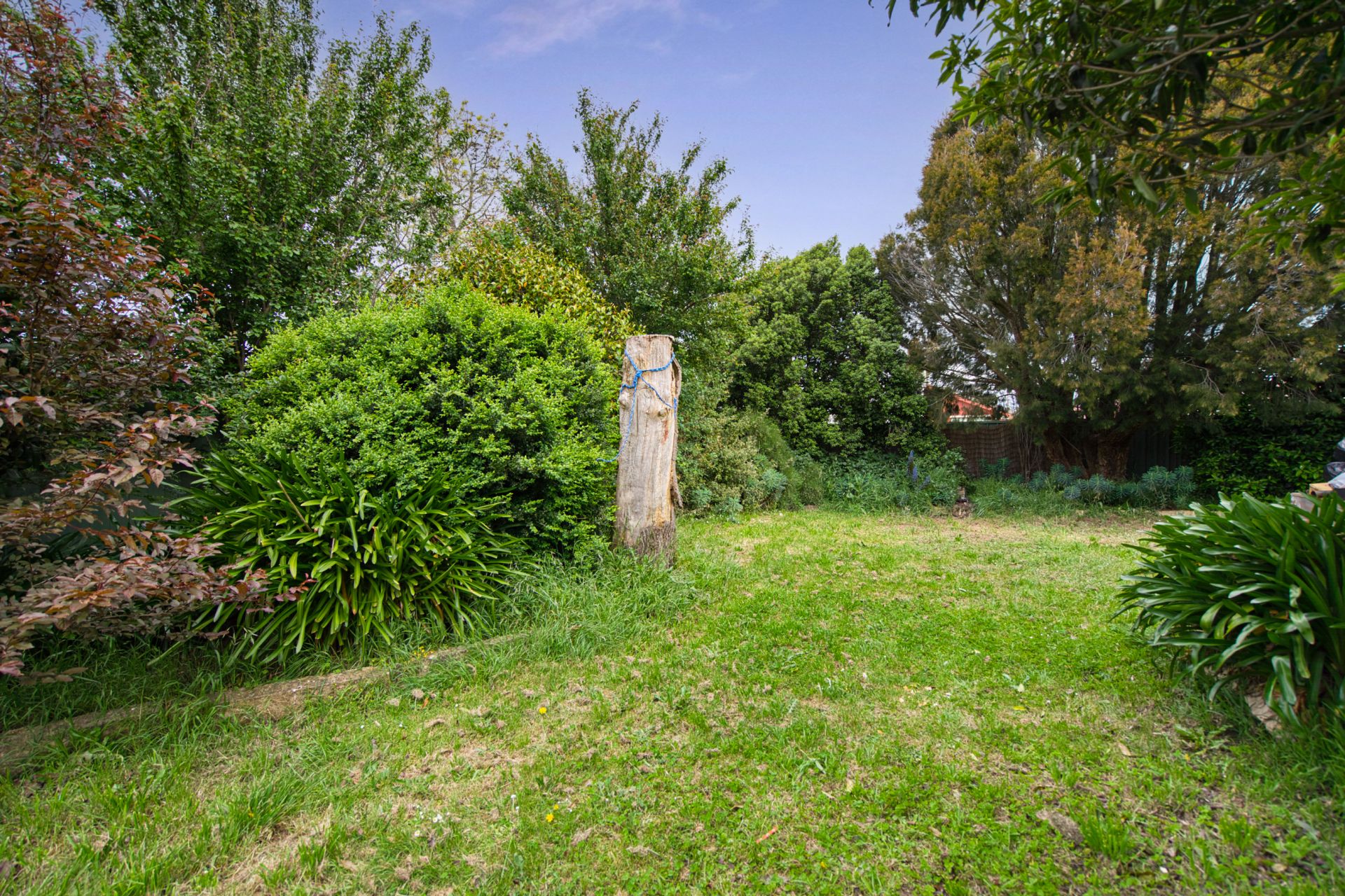 8 Marigold Street, Wendouree, Wendouree, Wendouree - Thumbnail 2