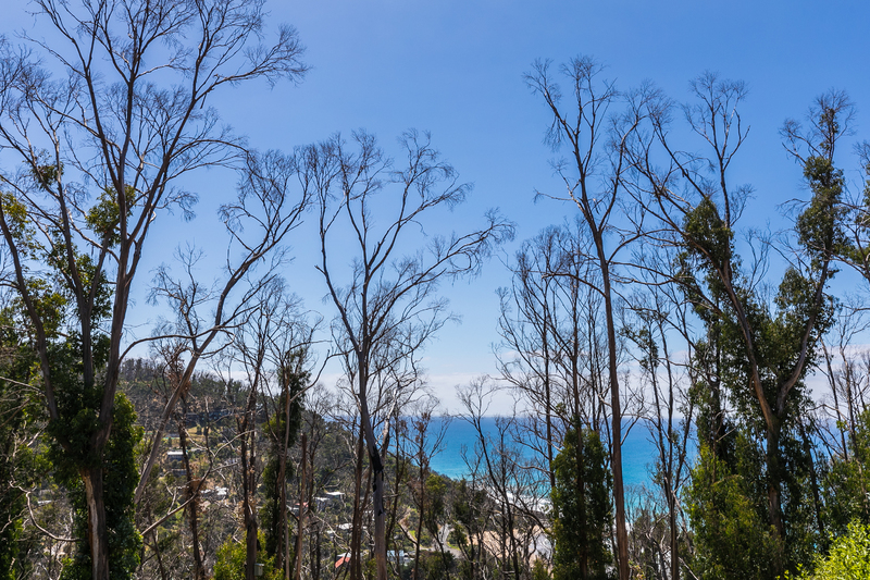 1 Dunoon Road, Wye River, VIC, Wye River - Thumbnail 3