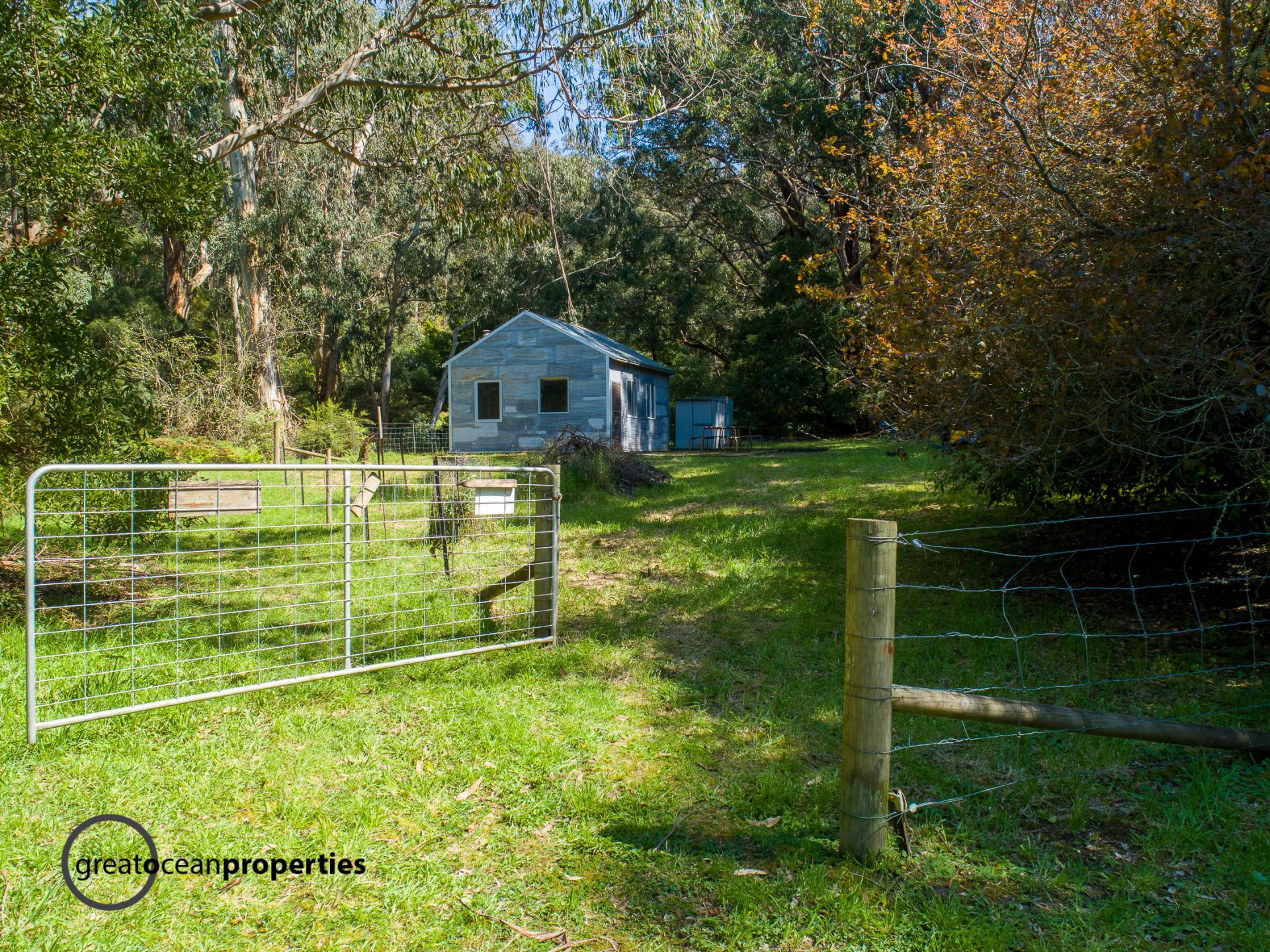 10 off Great Ocean Road, Kennett River - Thumbnail 3